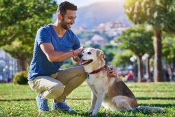 Descubre los diez mejores libros para adiestrar a tu perro y aprender en la técnica de adiestramiento canino.